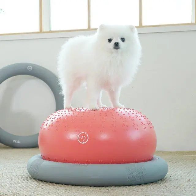 whatsapp image 2025 11 11 at 01.35.09