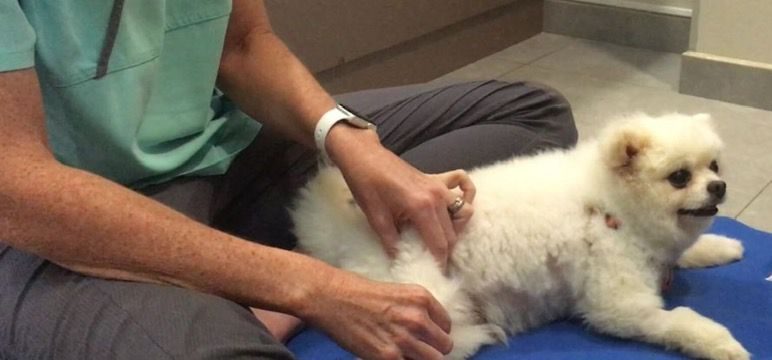 WhatsApp Image 2025 11 11 At 01.35.09 2 3